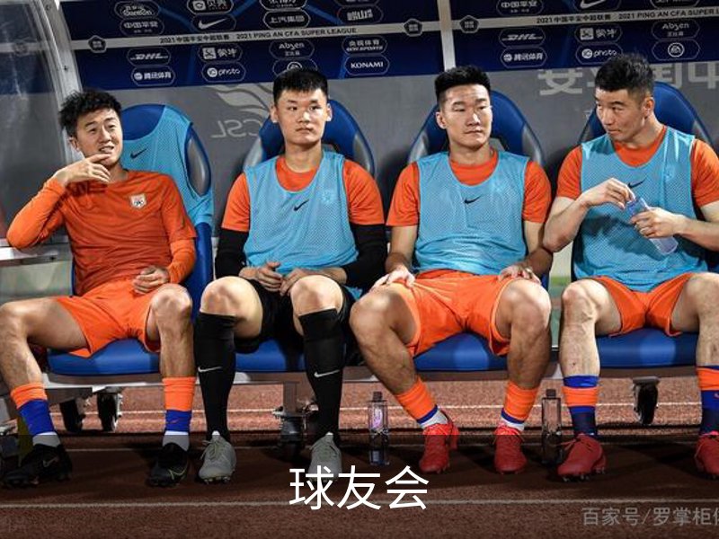 球友会简介